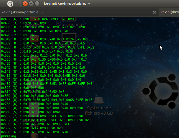 Can 307 application.png